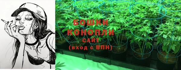 стафф Липки