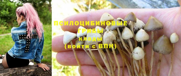 стафф Липки