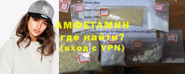 шишки Великий Новгород